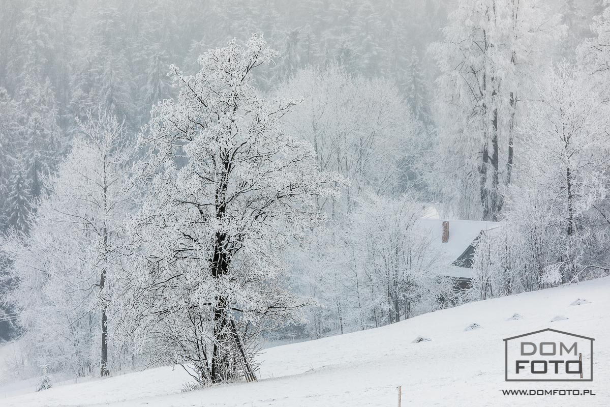 Fotograf - Zakopane, Kraków.