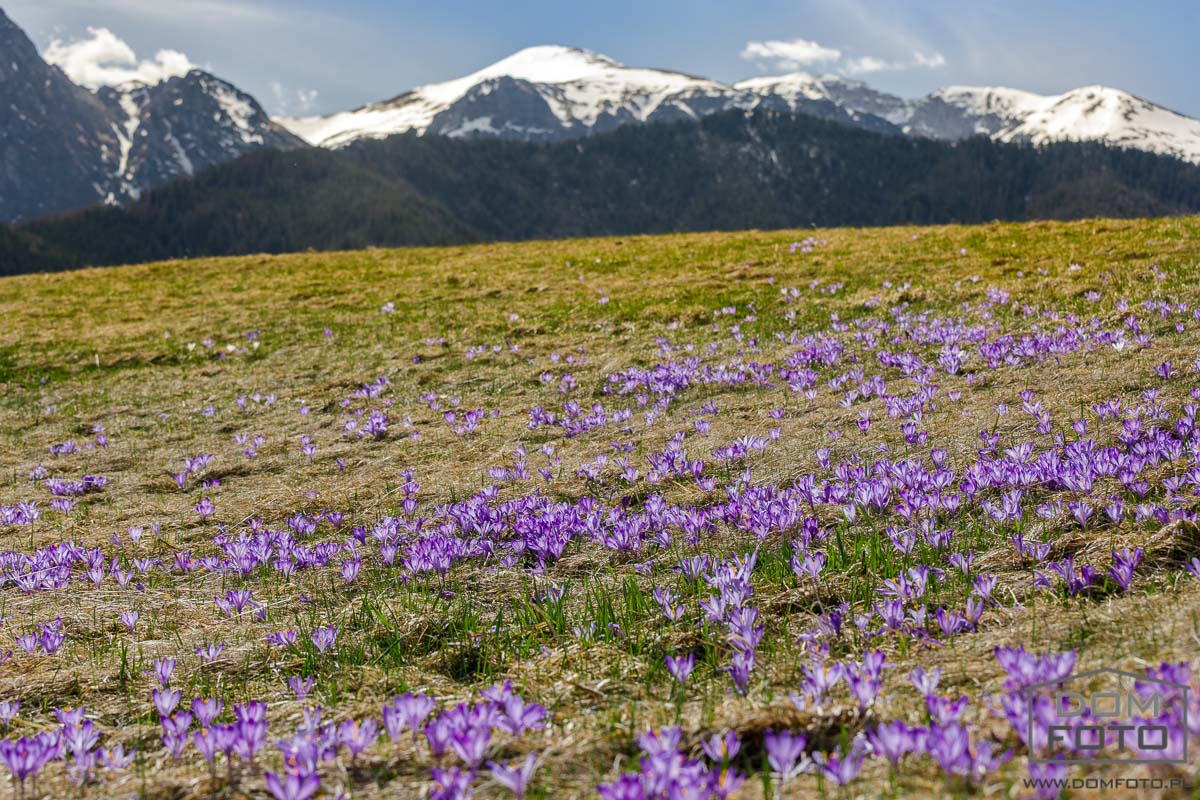 Zdjęcia wnętrz mieszkań - Zakopane, Kraków.