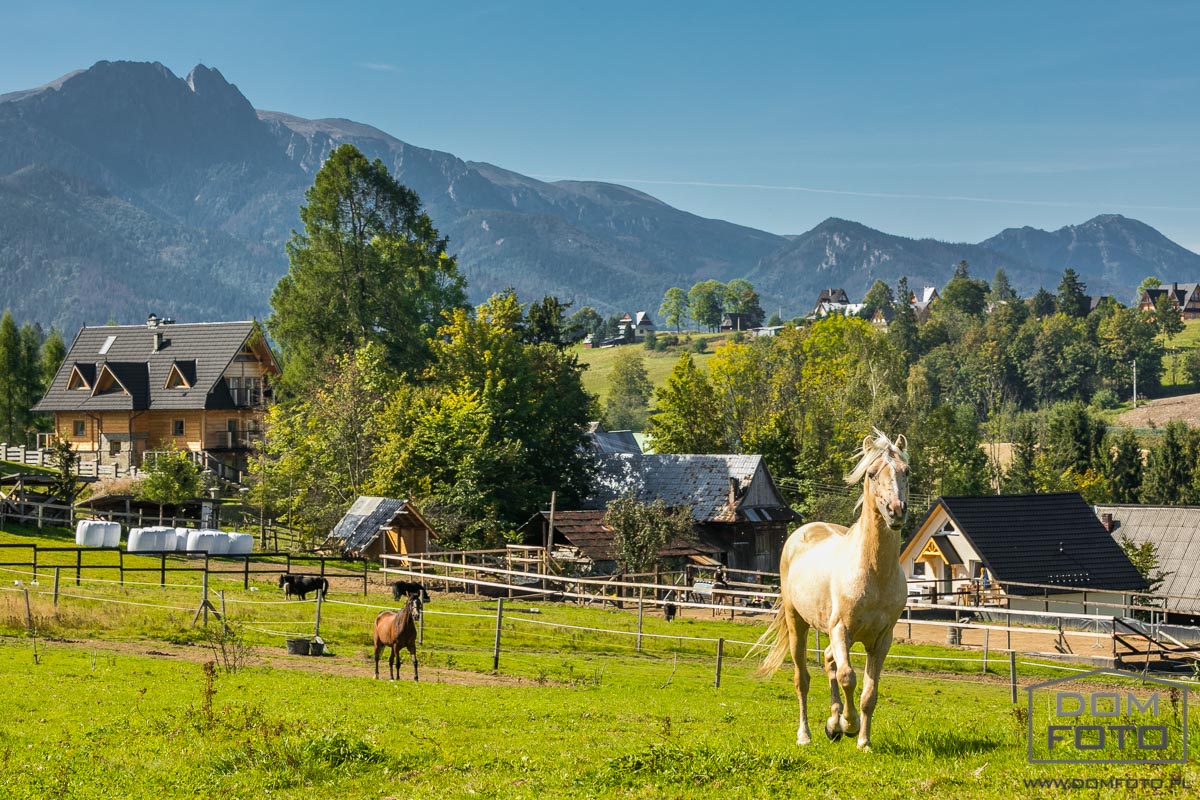 Zdjęcia wnętrz mieszkań - Zakopane, Kraków.