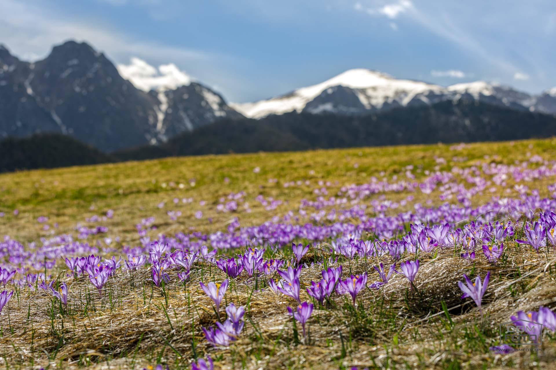 Inne obiekty, nieruchomości - DOMFOTO - fotograf wnętrz i architektury. Fotografia nieruchomości w miastach: Kraków, Zakopane, Szczawnica, Nowy Targ, Rabka-Zdrój, Nowy Sącz, Myślenice, Kościelisko i całej Polsce.